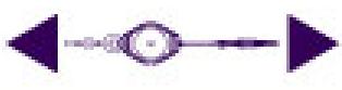 Retractable Lifeline