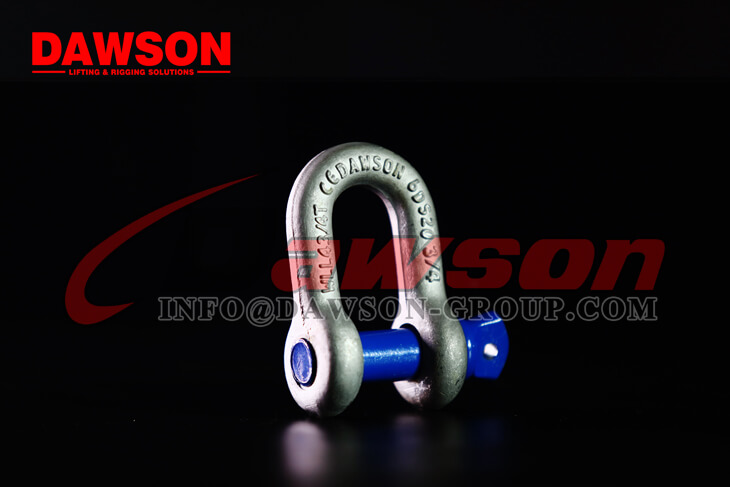 Chain Shackle with Safety Pin - Dawson Group Ltd. - China Supplier, Factory