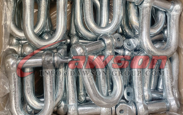 European Type Commercial Galv. Dee Shackle - Dawson Group Ltd. - China Manufacturer, Supplier, Factory