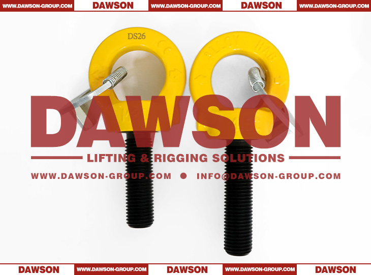 DS084 M30&times;100MM M30&times;120MM G80 Eye Type Rotating Ring with Key Wrench - Dawson Group Ltd. - China Manufacturer