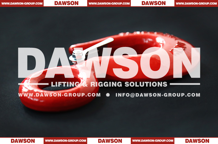 DS130 320A Grade 70 G70 WLL 0.75-30T Forged Alloy Steel Eye Hoist Hook with Latch - Dawson Group Ltd. - China Manufacturer