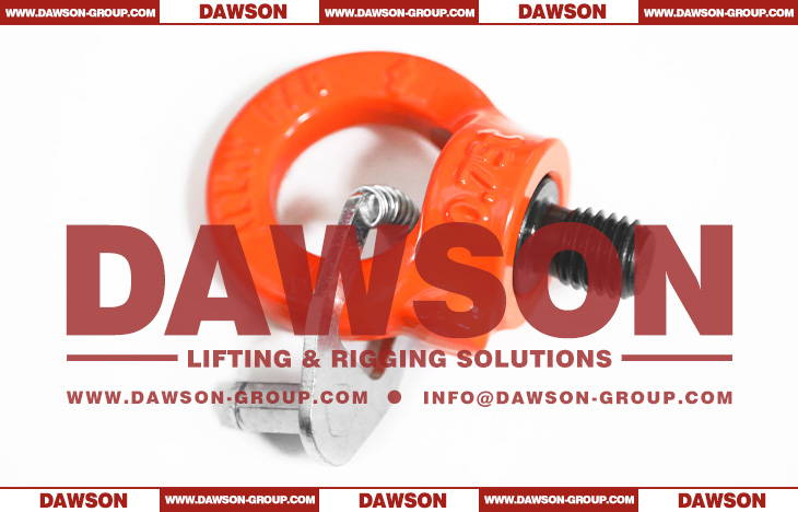 DS084 G80 Eye Type Rotating Ring with Key Wrench, Grade 80 Swivel Hoist Ring - Dawson Group Ltd. - China Supplier, Factory