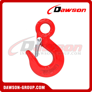DS357 DIN Forged Carbon Steel Eye Hook with Latch