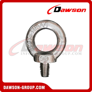 Stainless Steel 316 Drop Forged DIN580 Lifting Eye Bolt