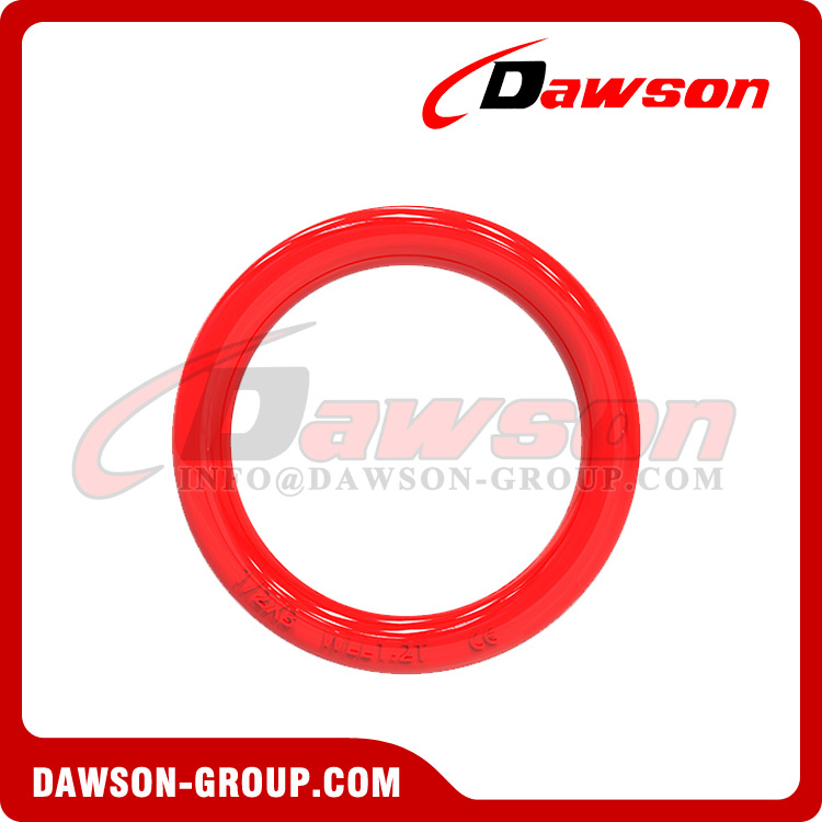 DS038 Forged Alloy Steel Round Ring