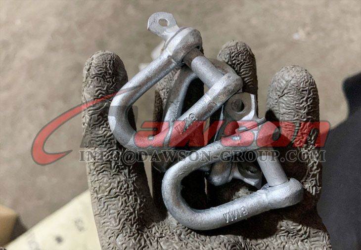 European Type Commercial Galv. Dee Shackle - Dawson Group Ltd. - China Supplier, Manufacturer