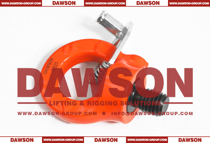 DS084 G80 Eye Type Rotating Ring with Key Wrench, Grade 80 Swivel Hoist Ring - Dawson Group Ltd. - China Manufacturer, Supplier