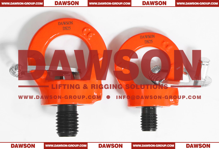 DS084 G80 Eye Type Rotating Ring with Key Wrench, Grade 80 Swivel Hoist Ring - Dawson Group Ltd. - China Manufacturer, Supplier