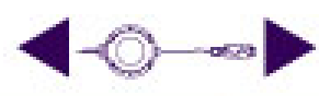 DSHB-10