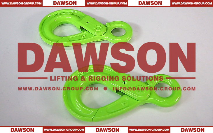 DS1005 G100 European Type Forged Eye Self-Locking Hook Lifting Equipment for Crane Lifting Chain Slings - Dawson Group Ltd. - China Supplier, Factory