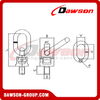 DS303 G80 M8-M64 Lifting Screw Point