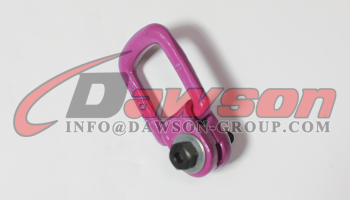 DS173 G80 Pivoting Lifting screw - Dawson Group Ltd. - China Factory, Manufacturer, Supplier