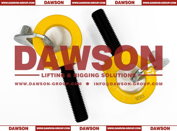 DS084 M30&times;100MM G80 Eye Type Rotating Ring with Key Wrench - Dawson Group Ltd. - China Factory, Supplier