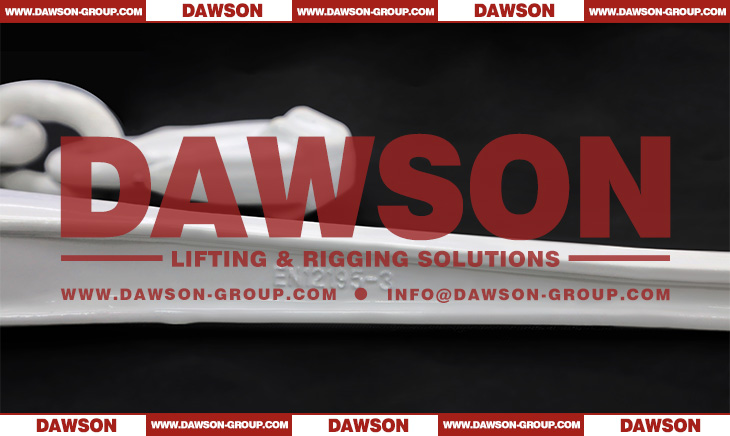 DAWSON DS1030 G100 8-13MM Ratchet Load Binder With Eye Grab Hook and Safety Pin for Ratchet Lashing - Dawson Group Ltd. - China Manufacturer