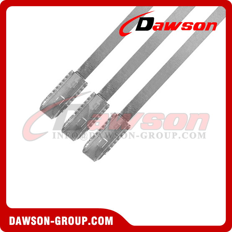 DS-BCS104 Tamper Proof Truck High Security Tinplate One Time Used Metal Strap Serrated Seals