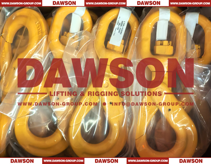 DAWSON DS083 G80 6-32MM European Type Swivel Selflock Hook for Chain Slings - Dawson Group Ltd. - China Manufacturer, Supplier, Factory