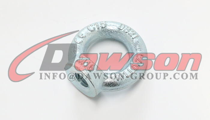 Galvanized Eye Nuts Lifting Ring Nut, Eye Nuts - Dawson Group Ltd. - China Manufacturer, Factory
