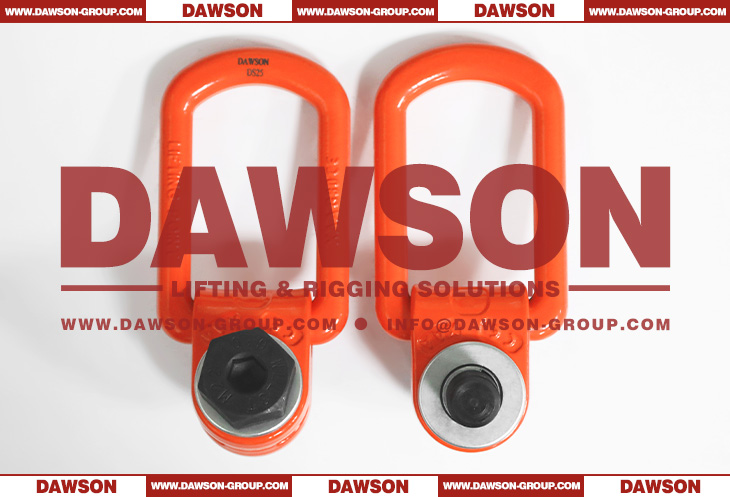 DS173 G80 M8-M64 Pivoting Lifting Screw, Grade 80 Lifting Points - Dawson Group Ltd. - China Supplier, Factory