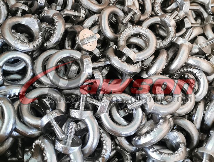 SS AISI316 DIN 580 Machine Eye Bolt - Dawson Group Ltd. - China Manufacturer, Supplier, Factory