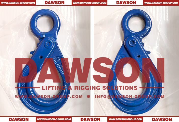 DS1005 G100 European Type Forged Eye Self-Locking Hook Lifting Equipment for Crane Lifting Chain Slings - Dawson Group Ltd. - China Manufacturer, Supplier, Factory