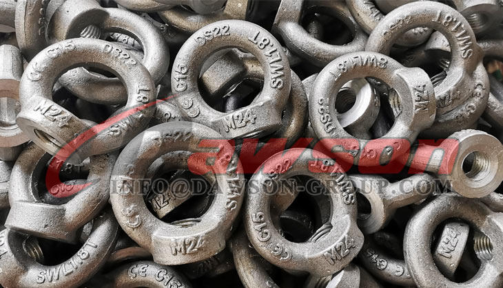 Eye Nuts Lifting Ring Nut - Dawson Group Ltd. - China Manufacturer, Factory