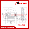 DS349 G80 WLL 1.12-30T Lifting Points, Drop Forged D Ring