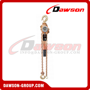 DSSH 750kg - 9000kg Explosion-proof Lever Hoist / Non-Sparking Lever Blocks for Lashing