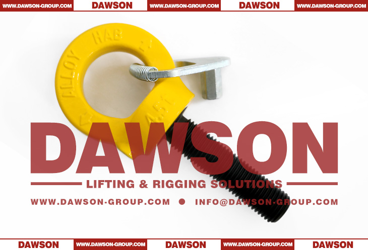 DS084 M30&times;100MM G80 Eye Type Rotating Ring with Key Wrench - Dawson Group Ltd. - China Manufacturer, Supplier