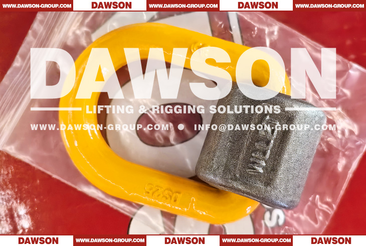 DS344 G80 Weld on Lifting D Rings, Grade 80 Weld-on Pivoting D Link - Dawson Group Ltd. - China Manufacturer, Supplier, Factory