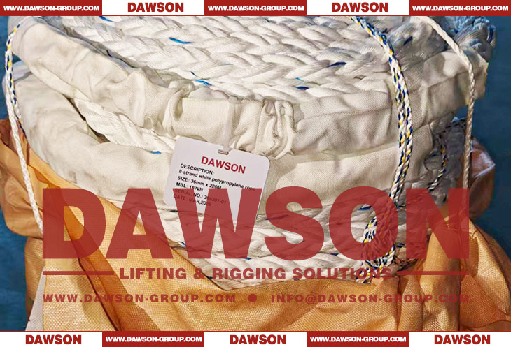 8 Strand 36MM White Polypropylene Rope - Dawson Group Ltd. - China Manufacturer, Supplier, Factory