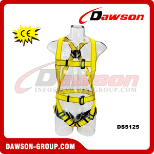 DS5125 Safety Harness EN361