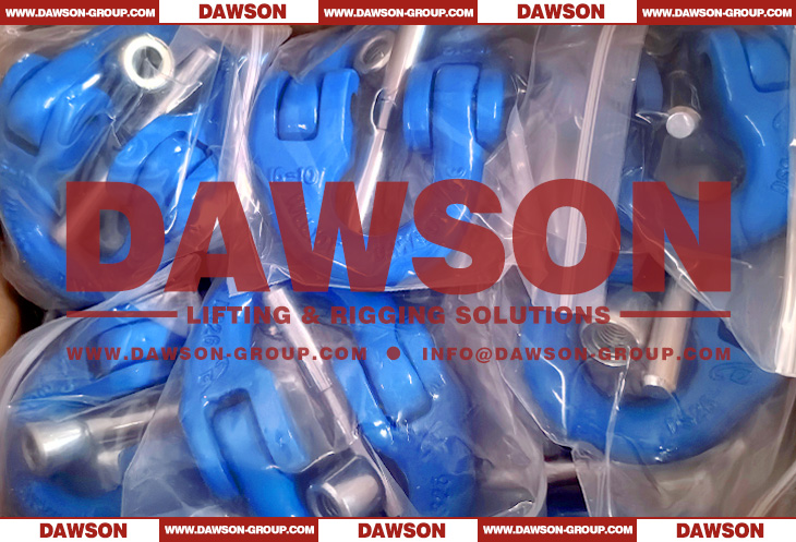DS1001 G100 European Type Connecting Link for Fishing & Fish Farming - Dawson Group Ltd. - China Manufacturer, Supplier, Factory